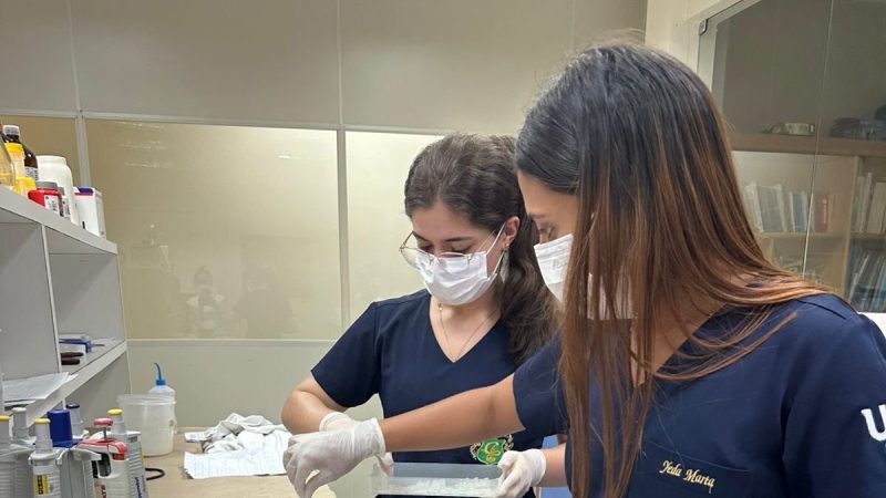 dc24fe3d-0bb3-4bd0-a6bc-76ac5aab5b92